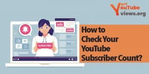 Check Your YouTube Subscriber Count
